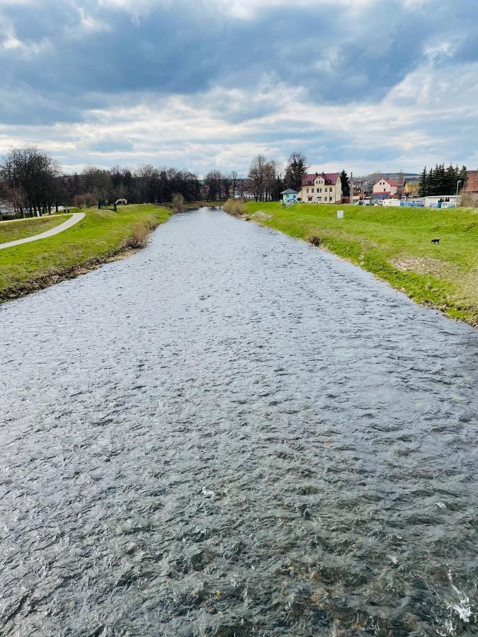 "Glueck Auf" Lichtdurchflutete Schicke Ferienwohnung In Zwickau Zewnętrze zdjęcie
